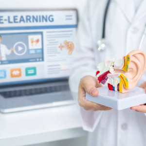 Modèle anatomique de l’oreille présenté lors d’une formation en ligne sur la rééducation vestibulaire